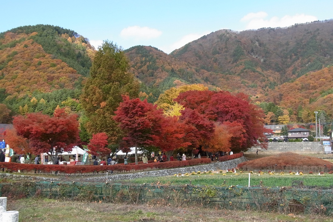 河口湖の紅葉と芦ノ湖ランチ_f0208112_2321195.jpg