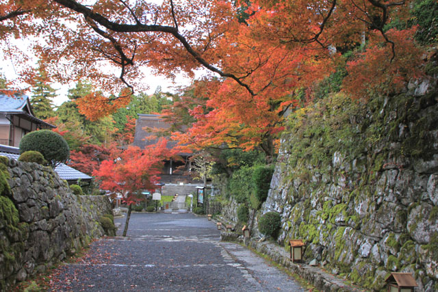 大原　勝林院_e0048413_2231098.jpg