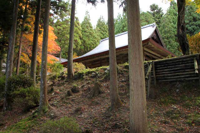 大原 来迎院_e0048413_2371994.jpg