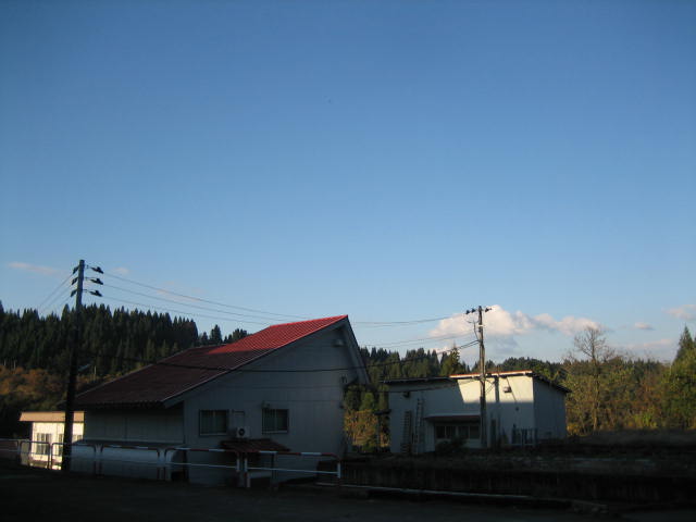 落ち葉の季節_f0067514_8451517.jpg