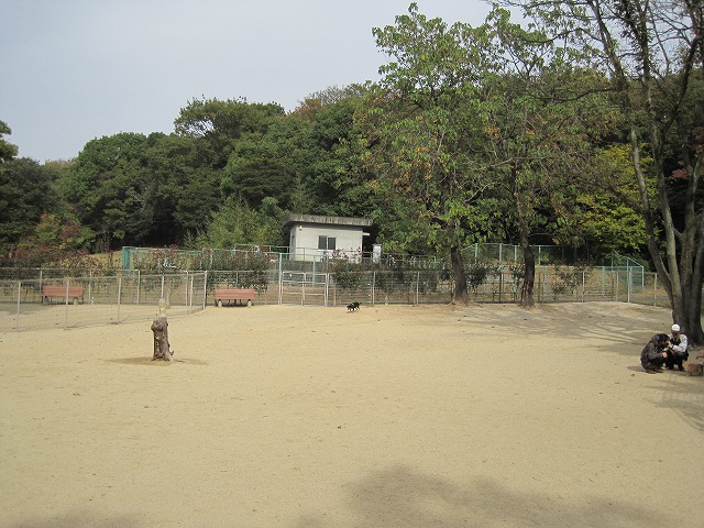 e0162524_12205262.jpg