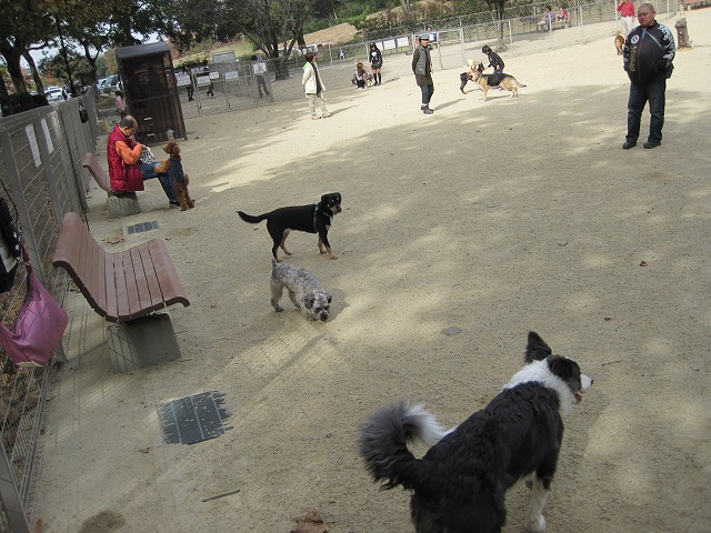 e0162524_1221841.jpg