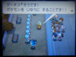 ポケットモンスターブラック縛りプレイ_a0120525_22423831.jpg