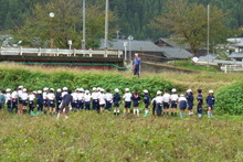 南中山小学校の子供達が大豆の収穫をしました_e0061225_910312.jpg