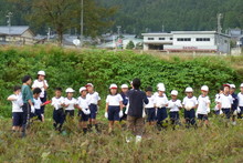 南中山小学校の子供達が大豆の収穫をしました_e0061225_913432.jpg