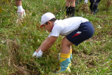 南中山小学校の子供達が大豆の収穫をしました_e0061225_9193278.jpg