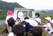 南中山小学校の子供達が大豆の収穫をしました_e0061225_9195365.jpg