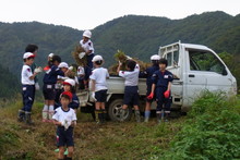 南中山小学校の子供達が大豆の収穫をしました_e0061225_9203969.jpg