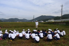 南中山小学校の子供達が大豆の収穫をしました_e0061225_9273210.jpg