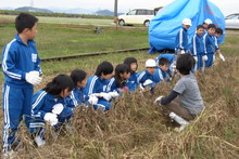 服間小学校の子供達が大豆の収穫をしました_e0061225_9391254.jpg