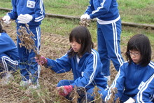 服間小学校の子供達が大豆の収穫をしました_e0061225_9413670.jpg