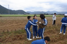 服間小学校の子供達が大豆の収穫をしました_e0061225_9423913.jpg