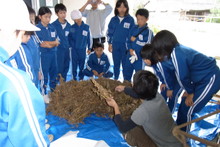 服間小学校の子供達が大豆の収穫をしました_e0061225_9482714.jpg