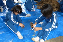 服間小学校の子供達が大豆の収穫をしました_e0061225_9493083.jpg