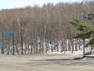 冬の早坂高原!_b0206037_9124572.jpg