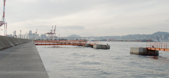 b0169939_11511217.jpg