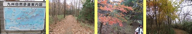 c0070439_04848.jpg