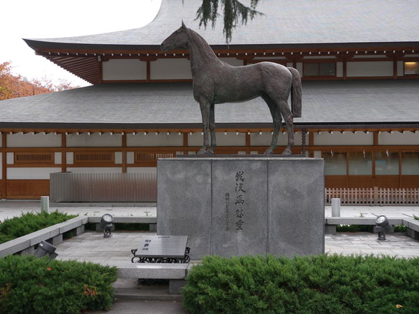 b0190242_12435877.jpg