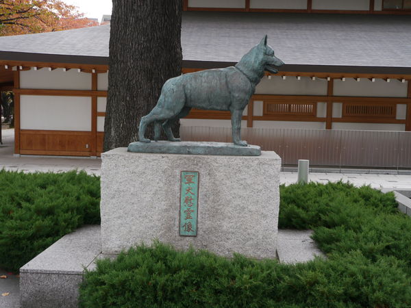 b0190242_12443710.jpg