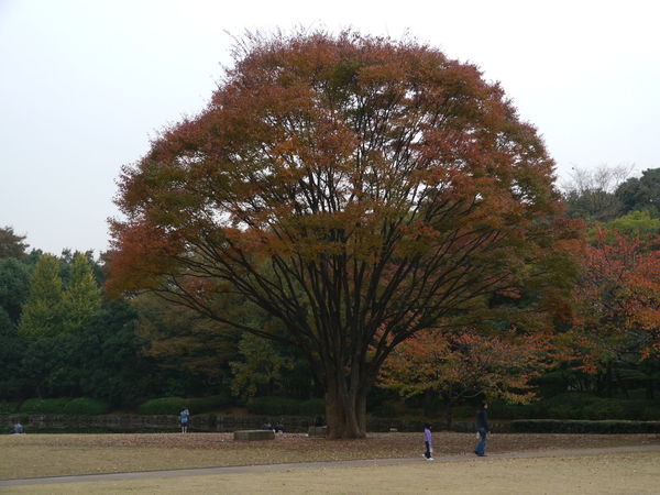 b0190242_12492782.jpg