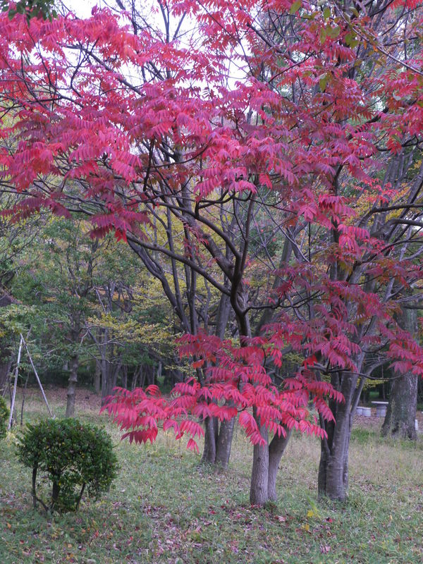 b0190242_12503480.jpg