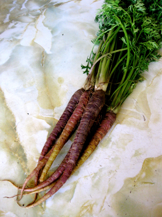 紫にんじんのきんぴら 犬とご飯と雑貨