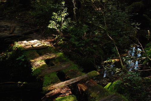 f0229844_2218114.jpg
