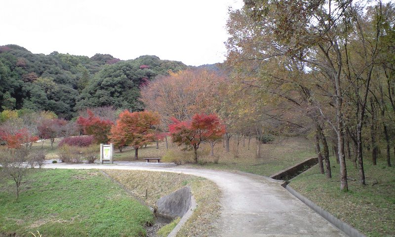 紅葉登山in四王寺①_e0159246_1930195.jpg