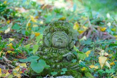 「九年庵から」（脊振神社）　_f0201348_9243895.jpg