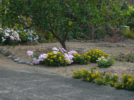 b0002549_20275017.jpg