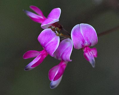 e0035757_17462860.jpg