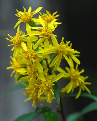 e0035757_17464464.jpg