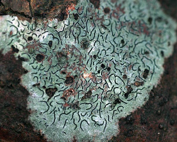 e0035757_17472460.jpg