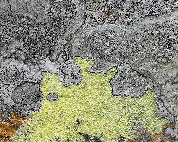 e0035757_17485845.jpg