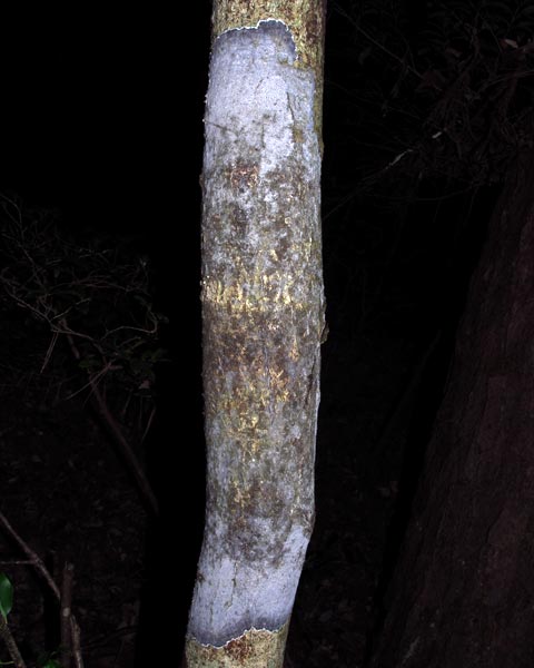 e0035757_17502060.jpg