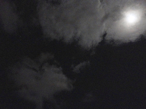 e0152357_0242730.jpg