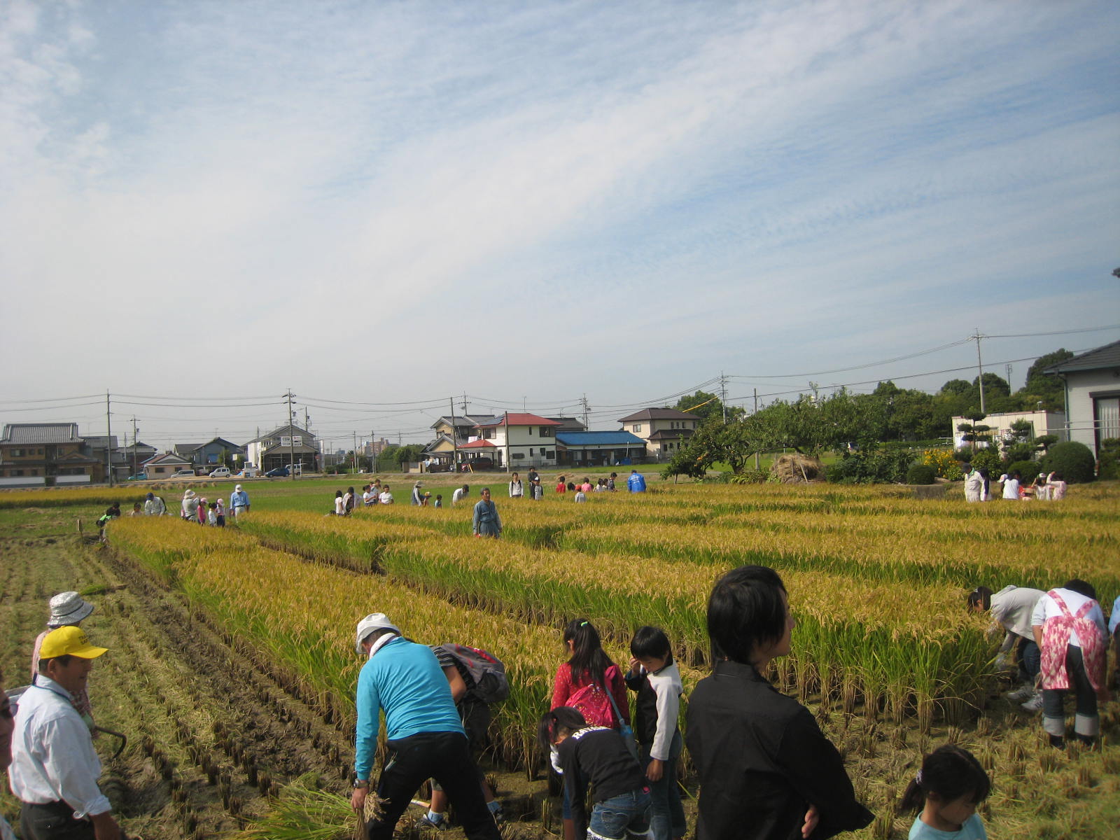 田植え→稲刈り体験へ!_f0109257_5311727.jpg