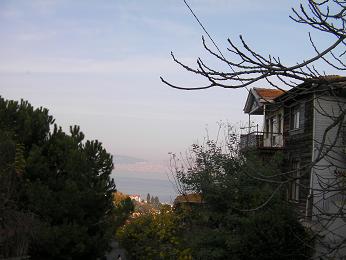 d0183861_2219544.jpg