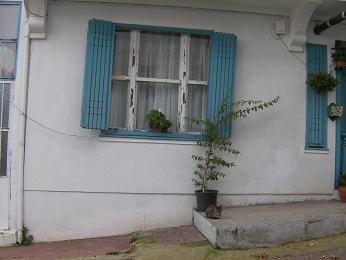 d0183861_22204169.jpg