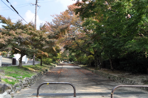 紅葉の散歩 -修学院　鷺森神社から曼殊院へ。_e0125762_211971.jpg