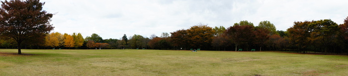 青葉の森公園_b0192470_17211587.jpg