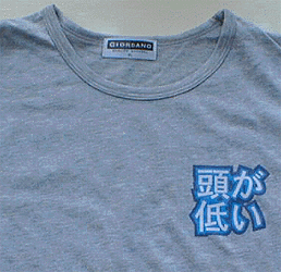 c0105680_7414114.gif