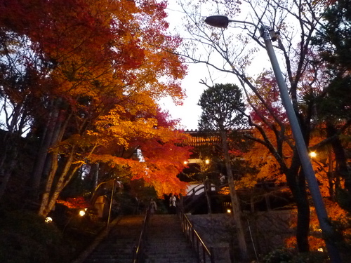 今年も紅葉見物にお寺めぐり_a0137981_16252432.jpg