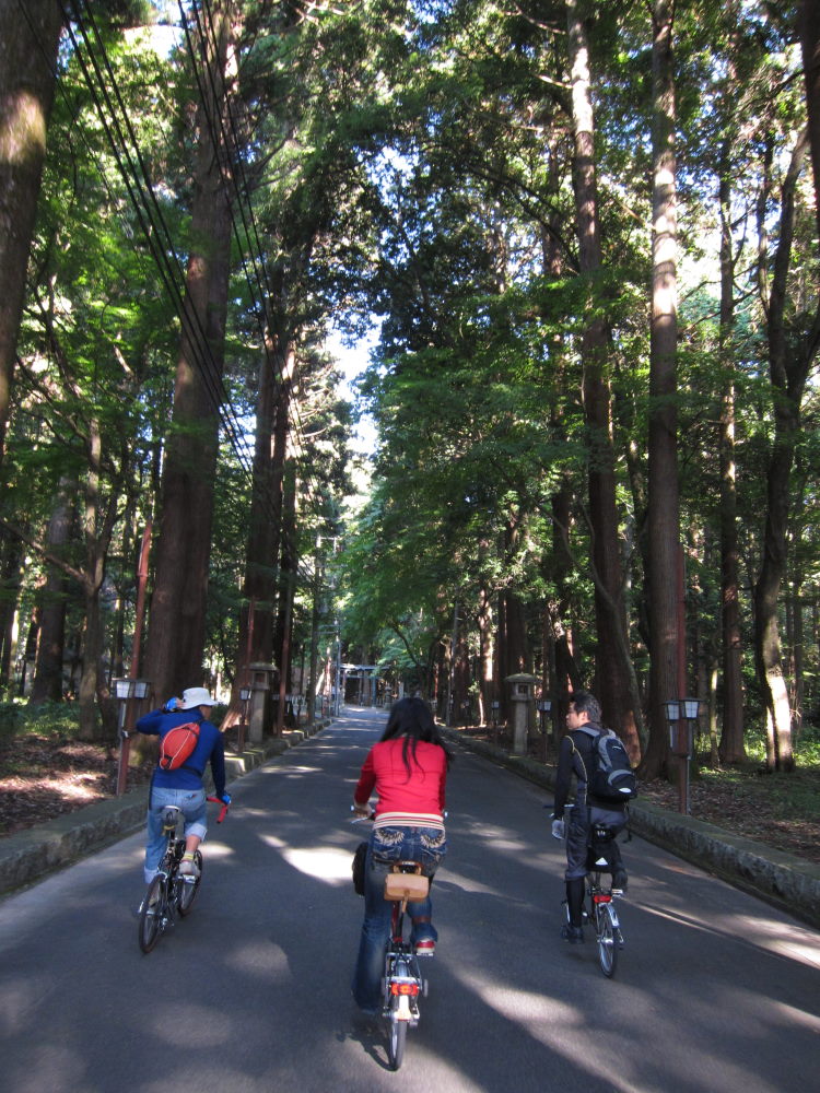 いよいよ鈴鹿山脈越え！！ブロンプトンで越えれるか？！－東海道57次ポタ②（貴生川～亀山）_e0138081_16581794.jpg