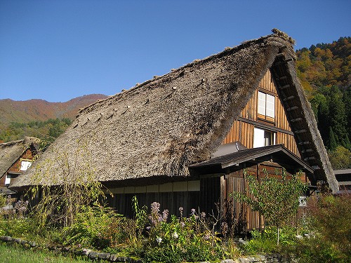 c0229483_231437.jpg