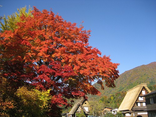 c0229483_23193516.jpg
