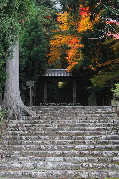 常照皇寺_e0051888_2252532.jpg