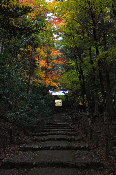 常照皇寺_e0051888_22531367.jpg