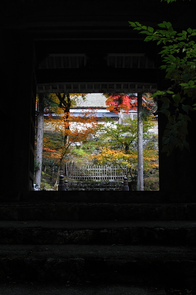 常照皇寺_e0051888_22532891.jpg
