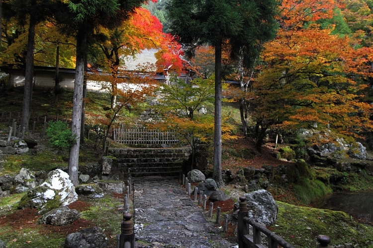 常照皇寺_e0051888_22535020.jpg